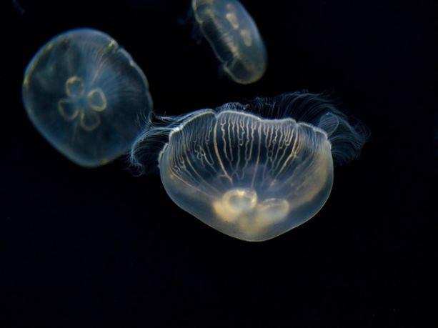 지지 저항선 분석